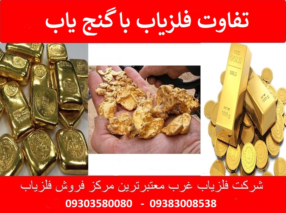 تفاوت فلزیاب با گنج یاب