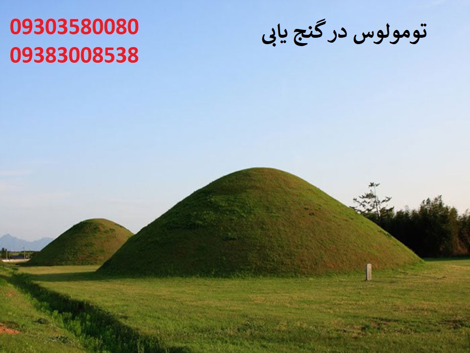 تومولوس در گنج یابی