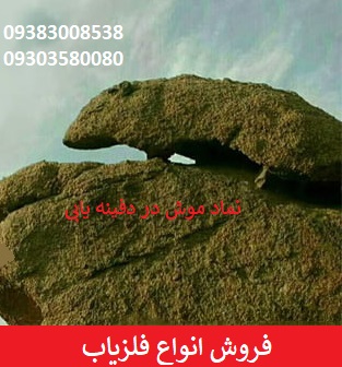 نماد موش در گنج یابی
