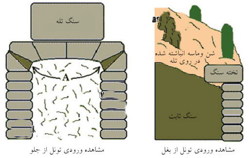 تله در گنج یابی