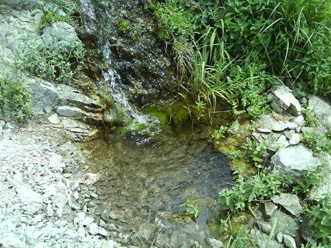 چشمه در گنج یابی و دفینه یابی