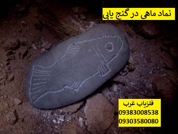 نشانه ماهی در گنج یابی