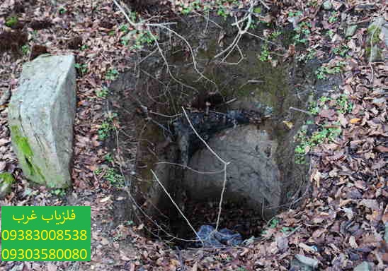 اصول گنج یابی در جنگل