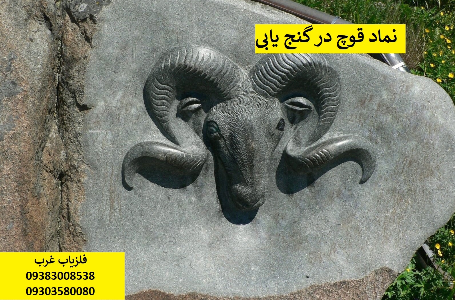 نشانه قوچ در گنج یابی