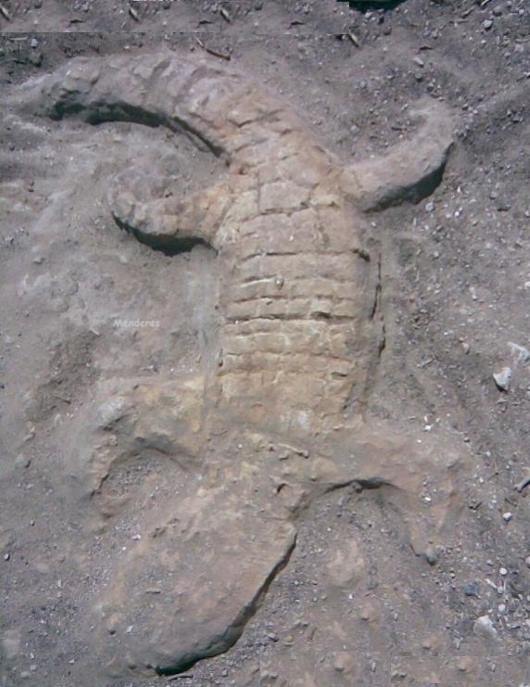 نماد تمساح در گنج یابی