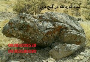 نماد قورباغه در گنج یابی