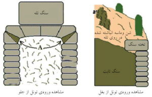 تله در گنج یابی