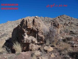 نماد شتر در گنج یابی