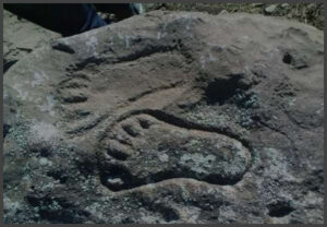 نماد ردپا در گنج یابی