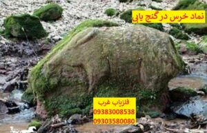 نماد خرس درگنج یابی