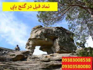 نماد فیل در گنج یابی