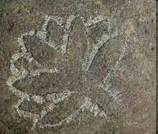 نماد گل در گنج یابی